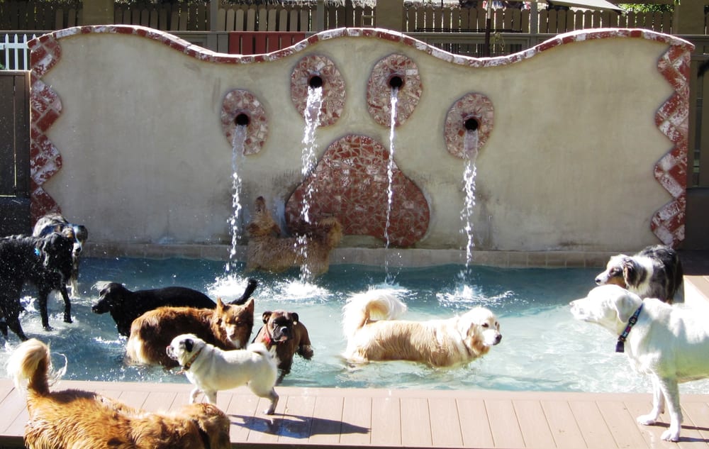 Dog Ranch Bed & Biscuit Pet Boarding/Pet Sitting 20401 Sun Valley