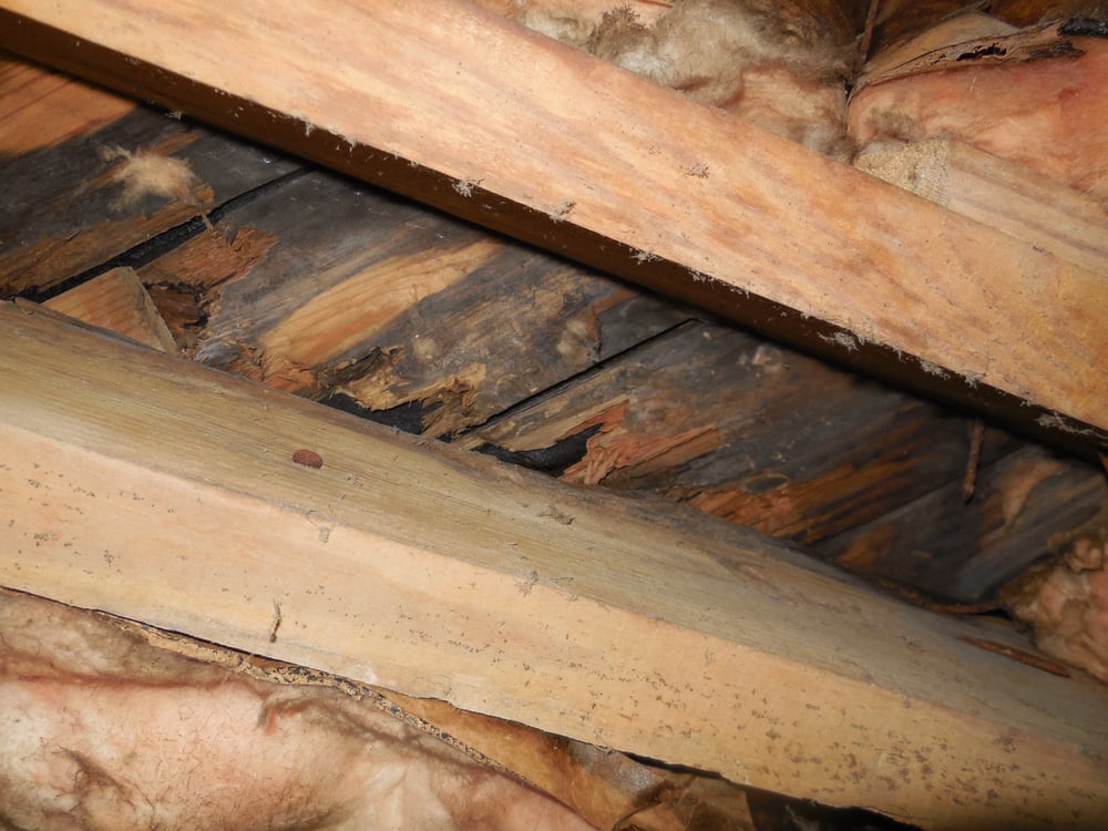 SRC Inspections & Consulting