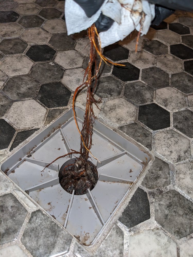 image of business Mr Tile