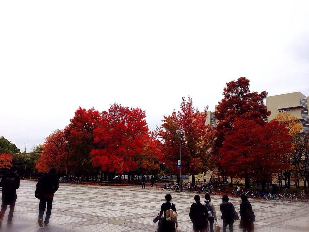 Wakayama Gift Cards Page 24 Of 33 Giftly