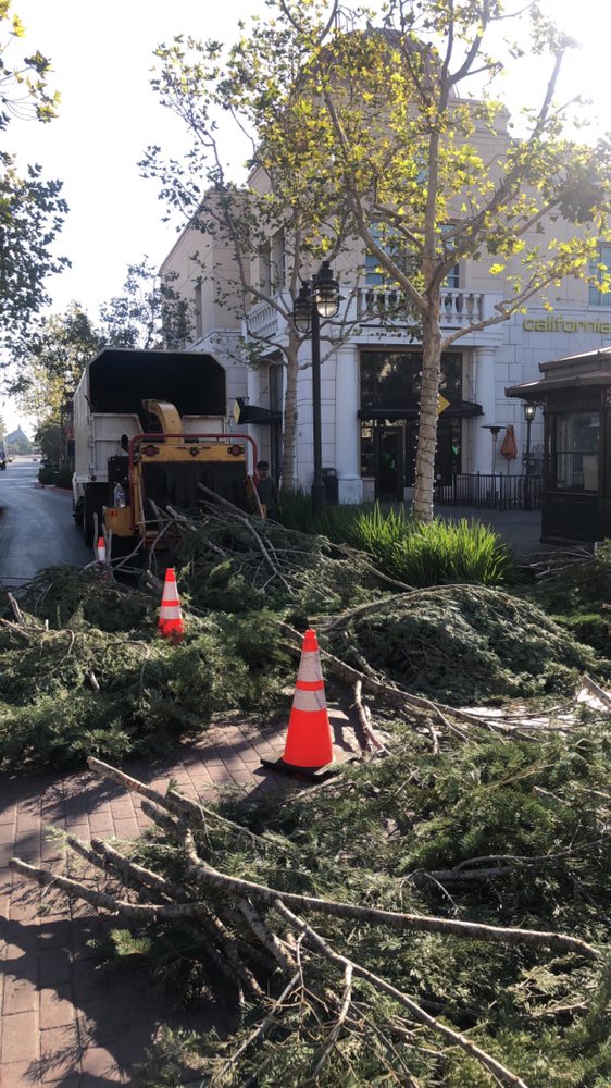 Elite Tree Care