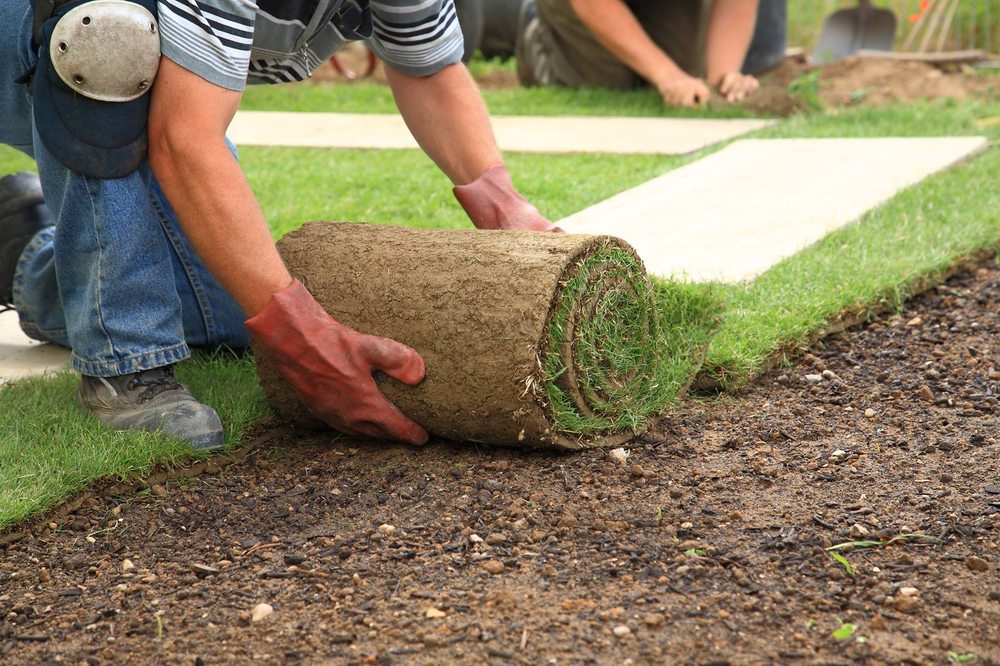 New Star Landscaping Construction 51 Photos Contractors 109 New Star Landscaping