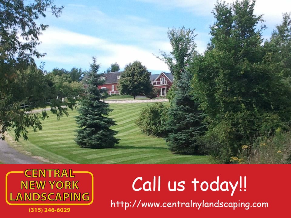 Central New York Landscaping