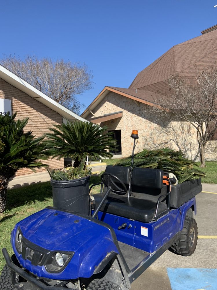 Travis’ Lawn Service