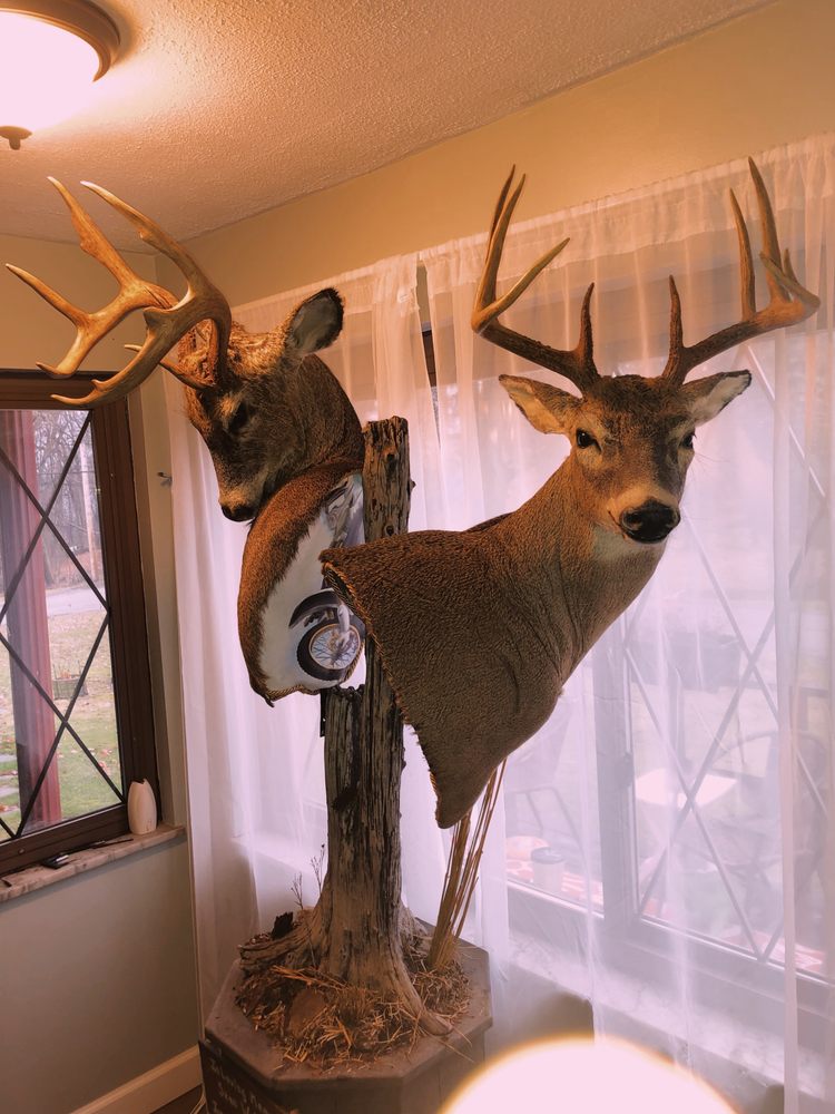 Trophy Hunters Taxidermy