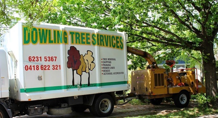 Dowling Tree Service