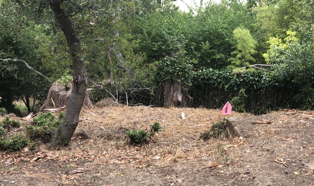 Yardwork Landscaping