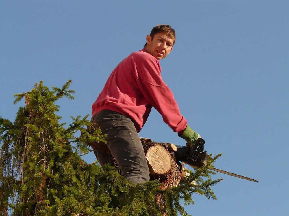 Hew Wood Tree Service