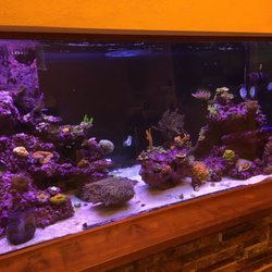 california aquariums closed 32