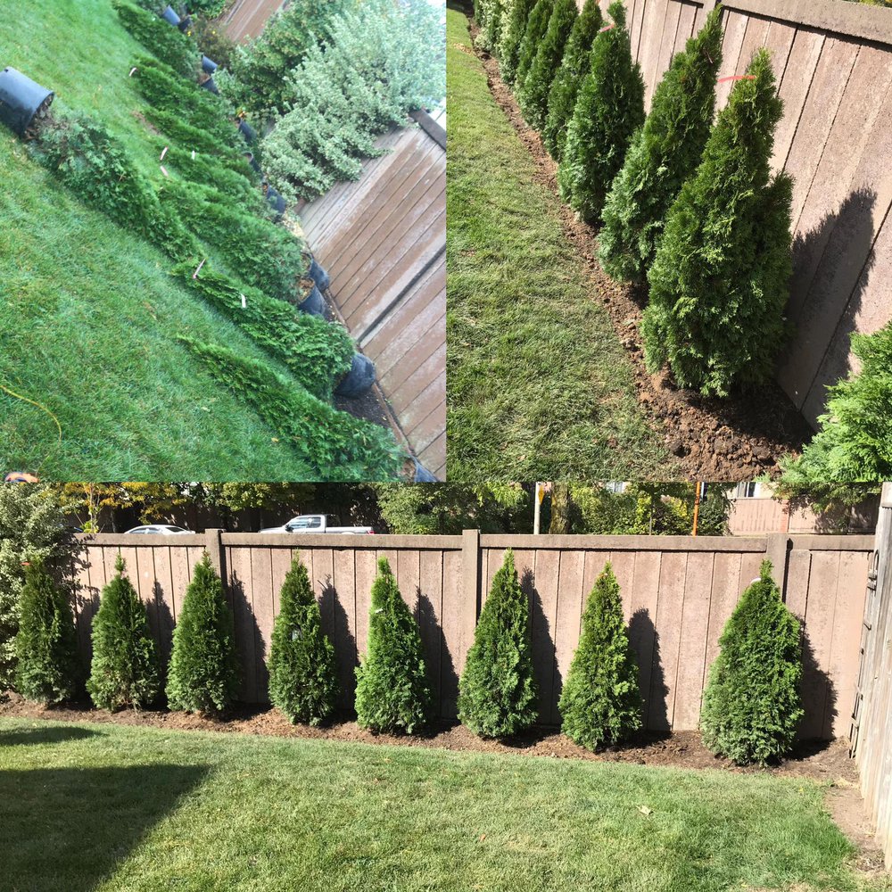 ISR Gardening