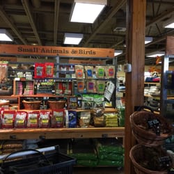 mud bay 38 reviews pet stores 2410 harrison ave nw mud bay 38 reviews pet stores 2410 harrison ave nw