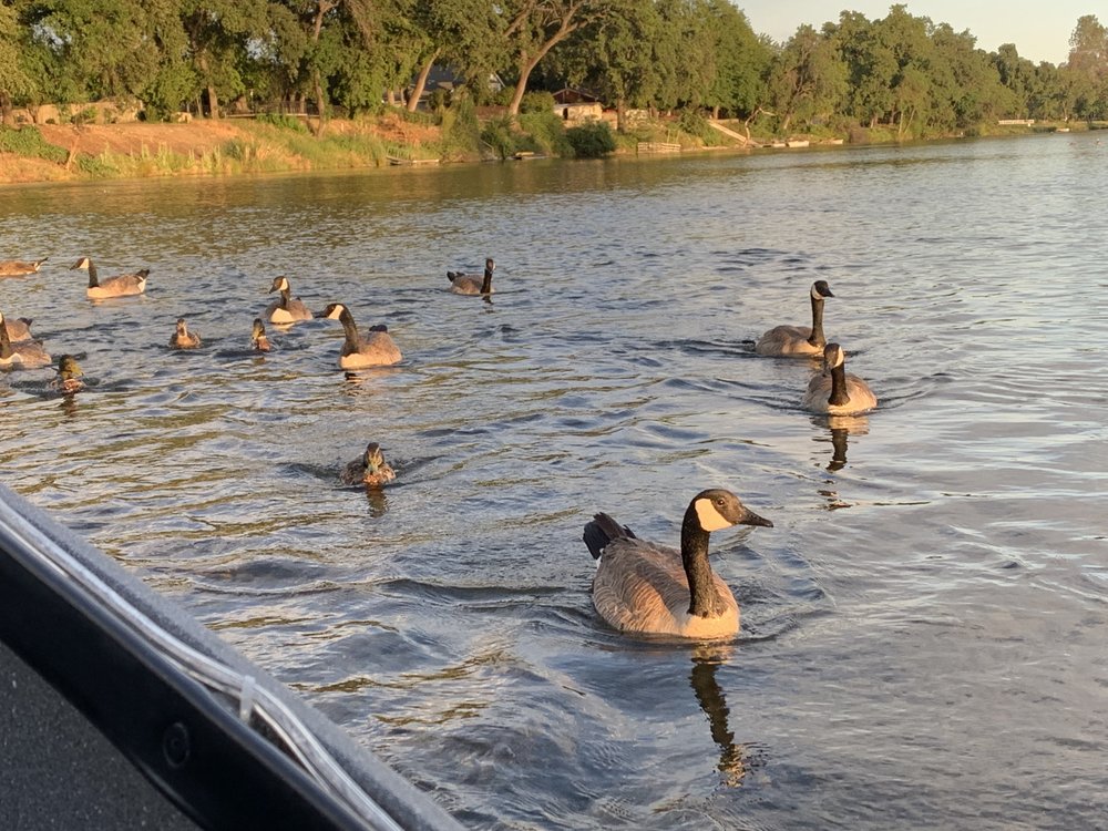 River Romance Cruises