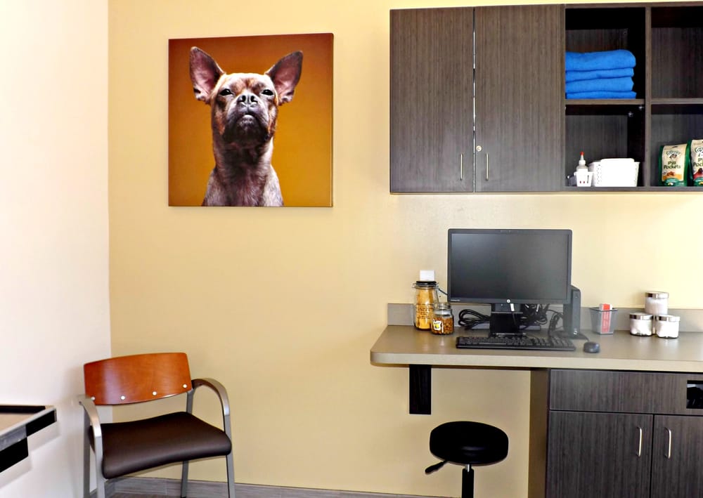 VCA Pets Are People Too Veterinary Hospital 34 Photos & 114 Reviews