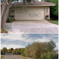 Walter J Palmer, DDS - Minneapolis, MN, United States. Walter Palmer the dentist who went out and killed Cecil the most precious innocent Lion.