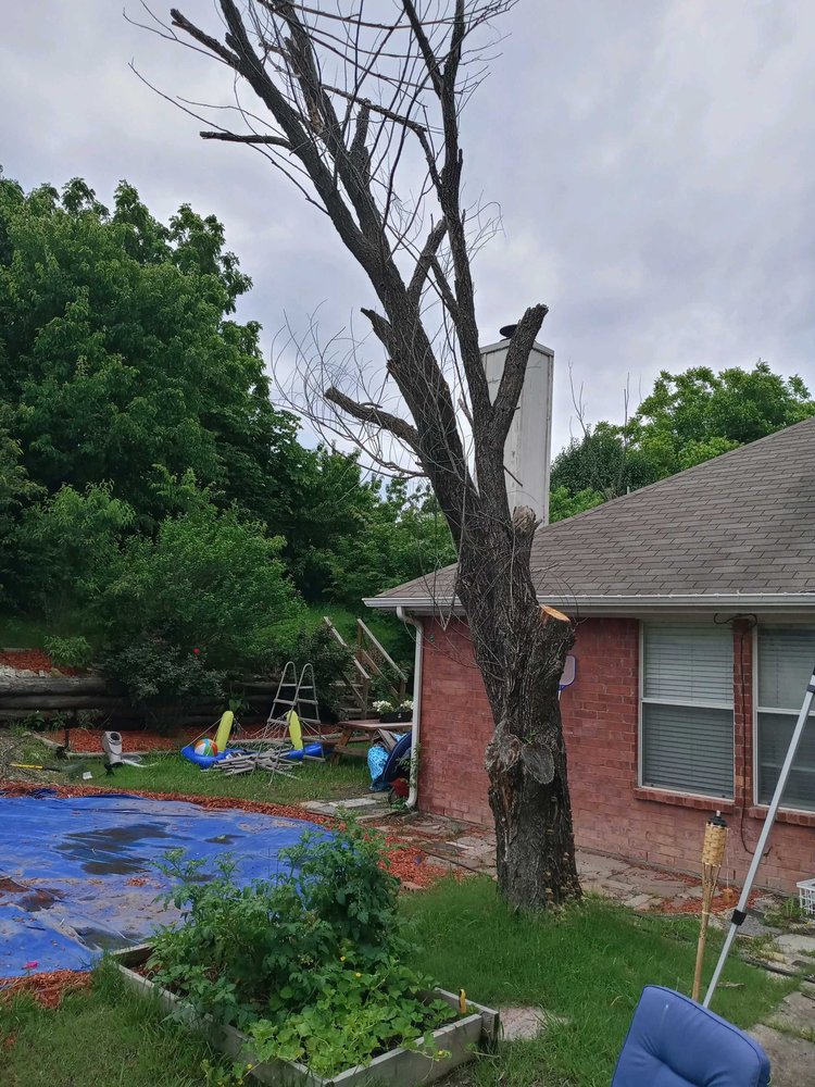 Denison Greener Earth Tree Service