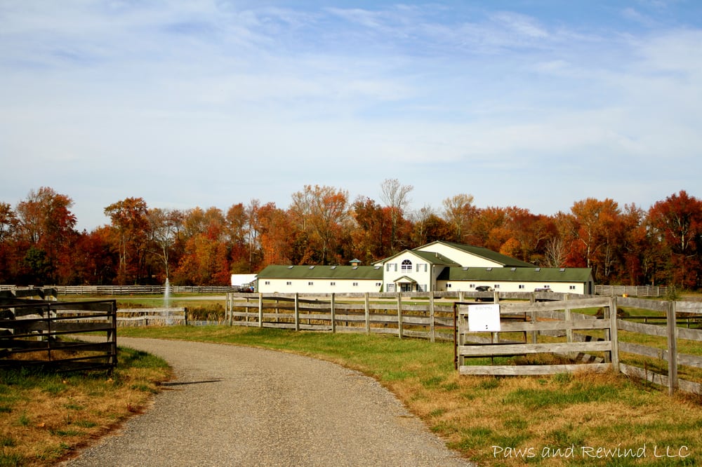 Scenic View Farms Horseback Riding 281 Long Swamp Rd New Egypt Scenic View