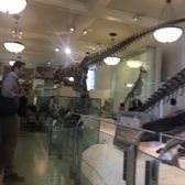 American Museum Of Natural History New York Ticket Price American Museum Of Natural History New York Ticket Price