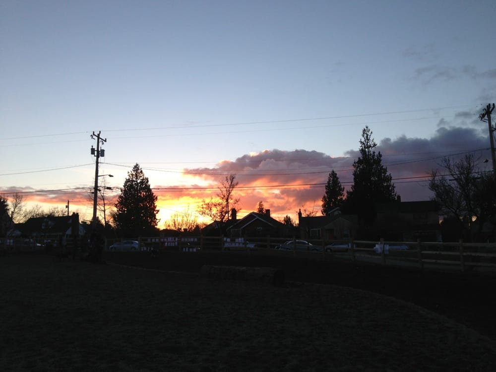 Magnolia Manor Park Off-Leash Area