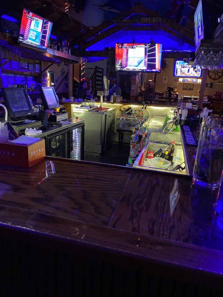 The Cross-eyed Seagull The Cross-eyed Seagull