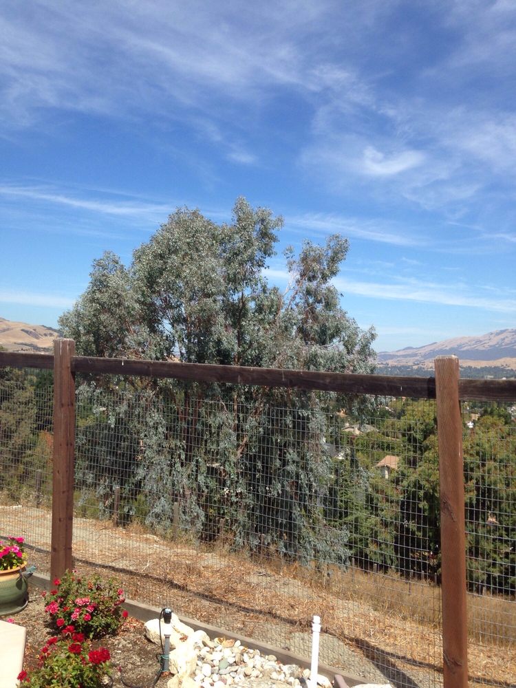 Terry’s Tree Service 75 Reviews Tree Services 849 E