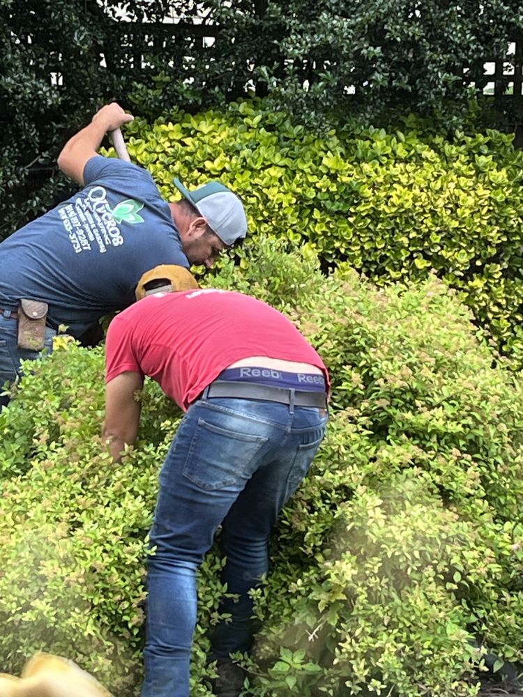 Oliveros Landscaping