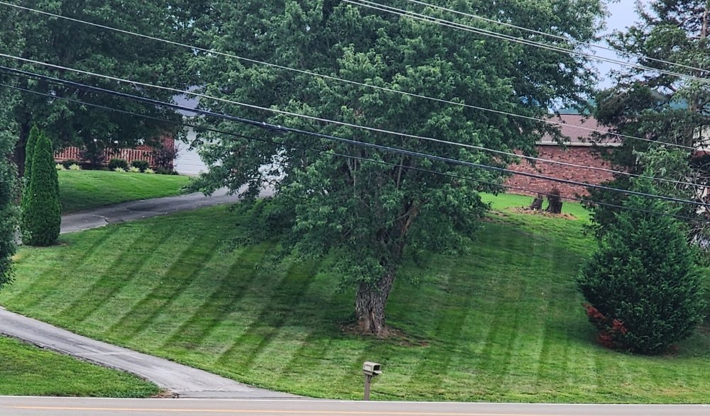 Noah's Landscapes & Services