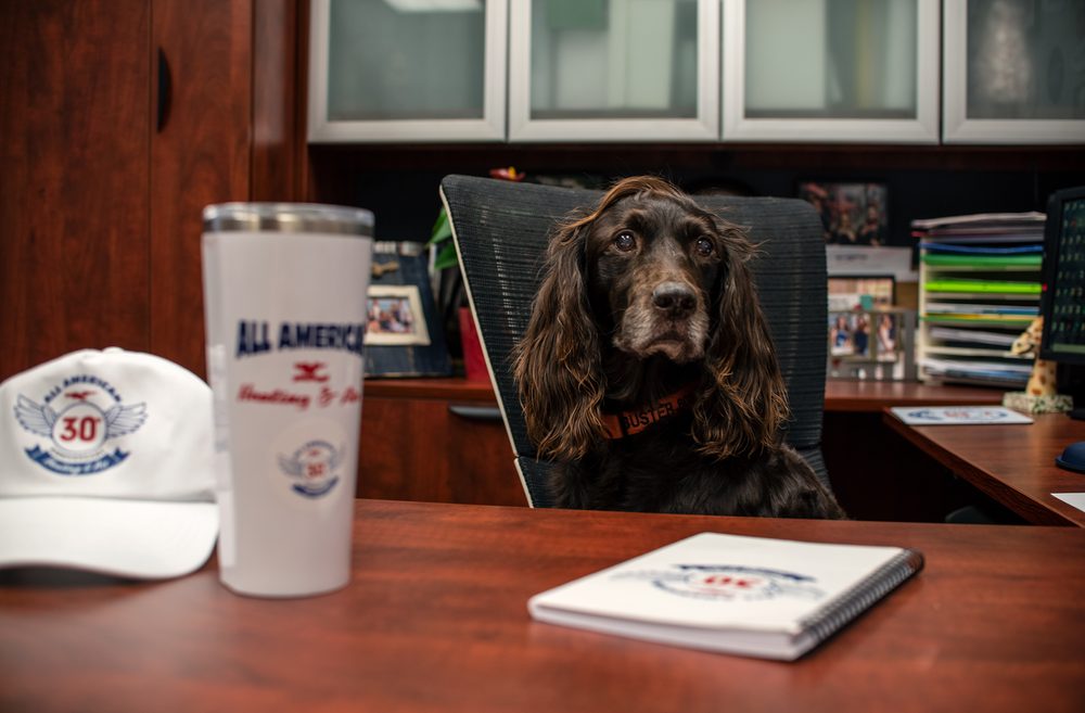 image of business All American Heating & Air