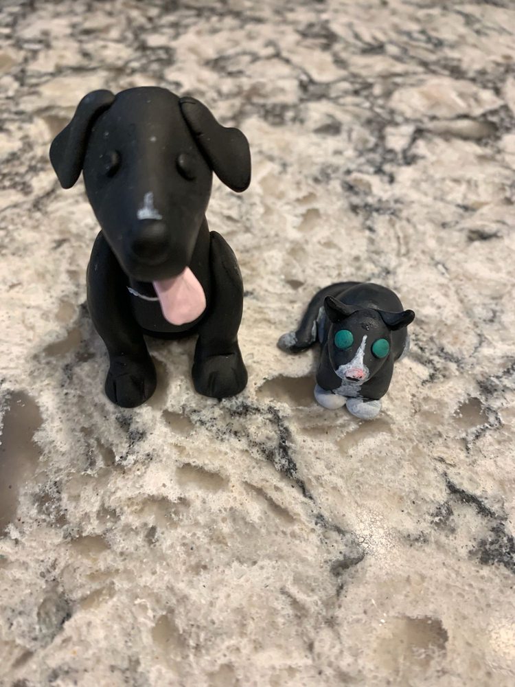 diggiddy doggy daycare