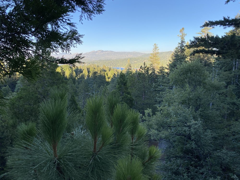 Vicki Sommers Real Estate