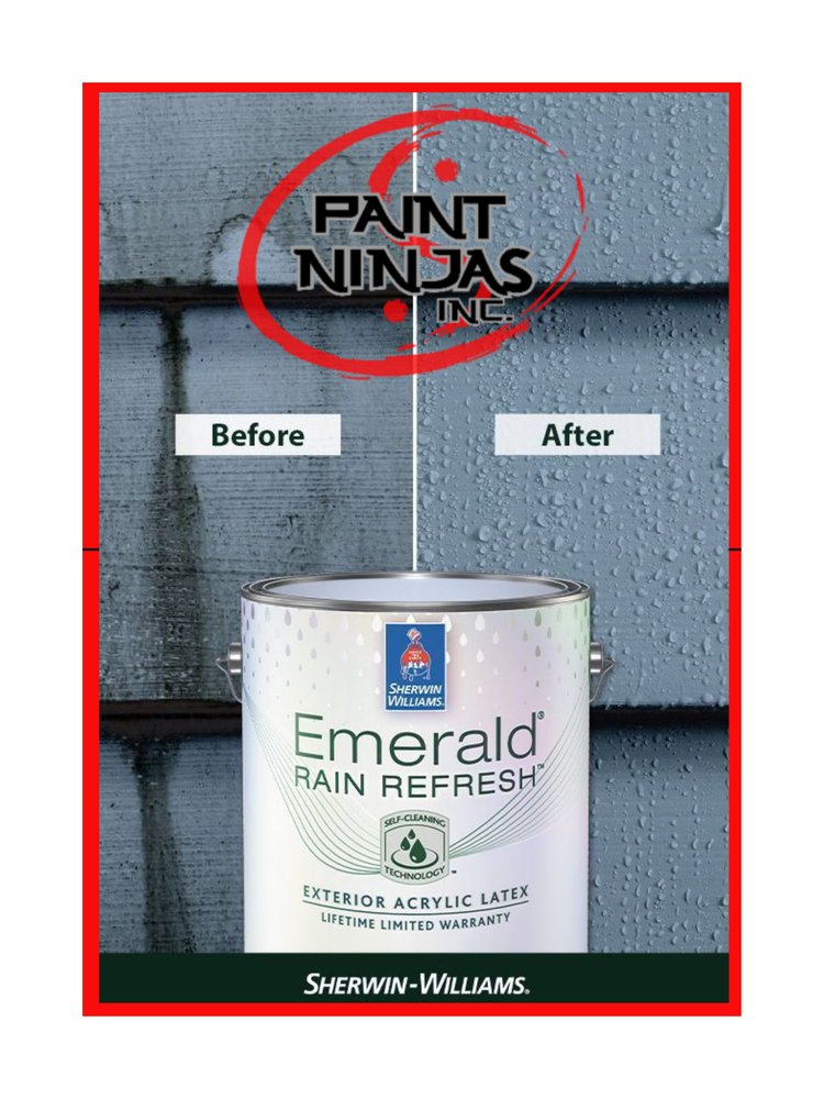Paint Ninjas
