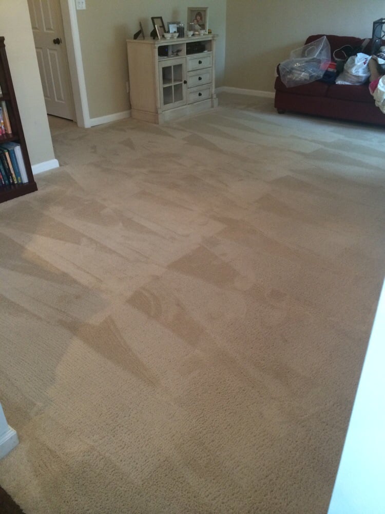 Organic Dry Carpet Cleaning