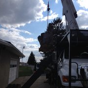 joseph tree service vermeer tree service photo of joseph dublin oh united states 34 photos services 7665 fishel dr joseph tree service vermeer tree service photo of joseph dublin oh united states 34 photos services 7665 fishel dr