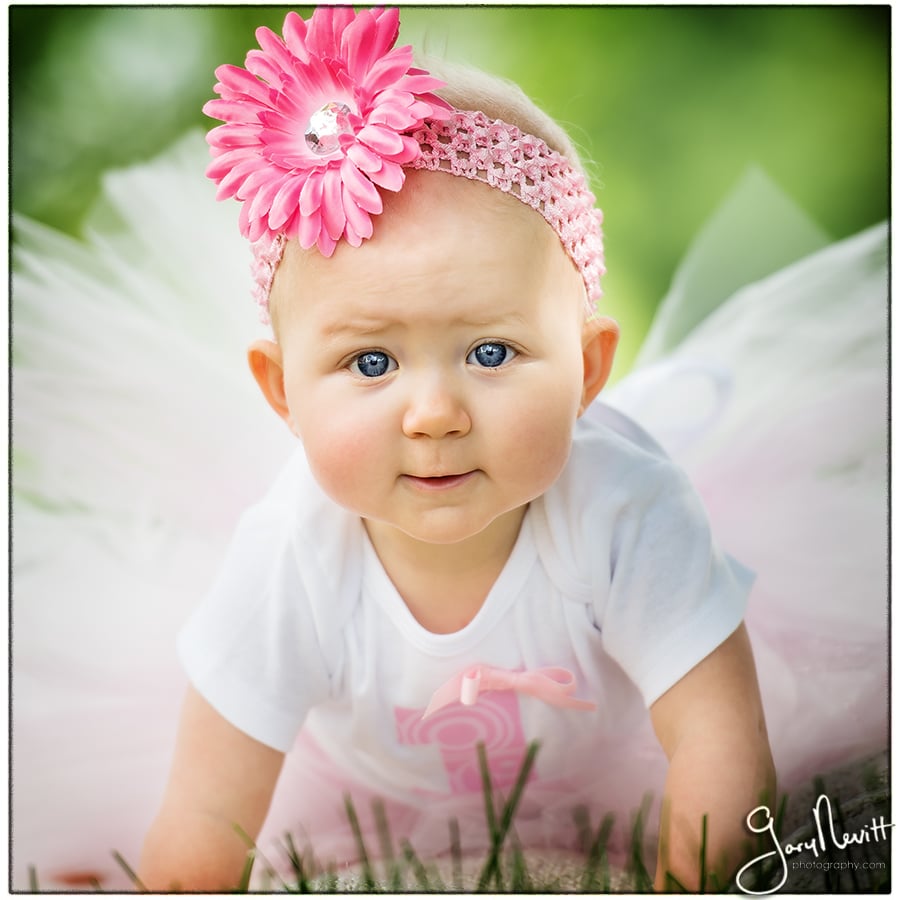 Gary Nevitt Photography