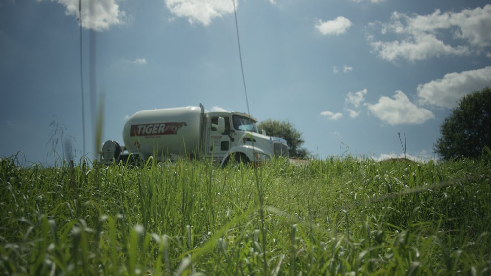 image of business Tiger Fuel