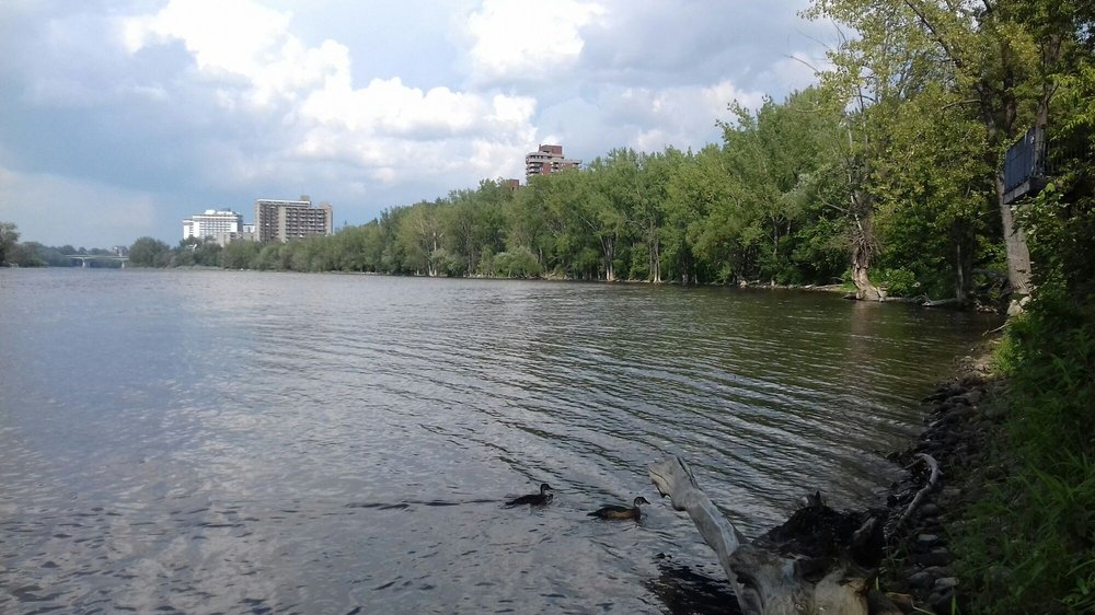 Parc-nature de l'Île-de-la-Visitation