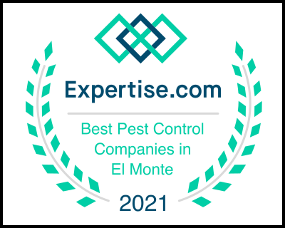 Already A Better Choice Termite & Pest Control