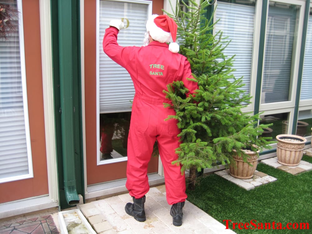 photos for treesanta chicago christmas tree delivery yelp photos for treesanta chicago christmas tree delivery yelp