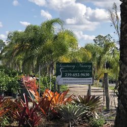 Sanctuary Nursery Nurseries Gardening 7600 Rd Photo Of Sanctuary Nursery Naples Fl United States