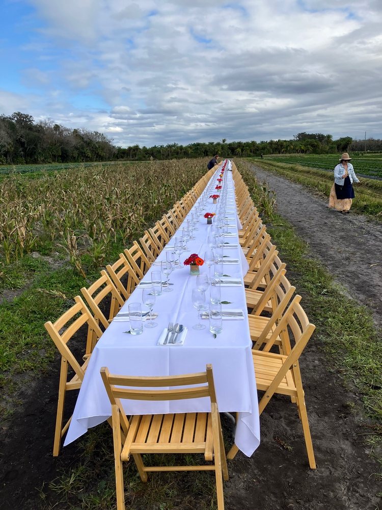 BigDaddy's Farm