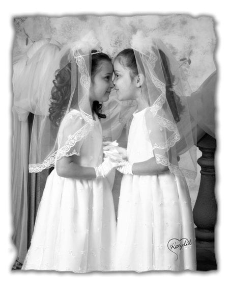 Katydid Photography