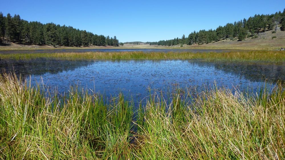 Photos for Mount Laguna Campground Yelp