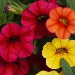 Spring Garden Farms 2019 All You Need To Know Before Go With