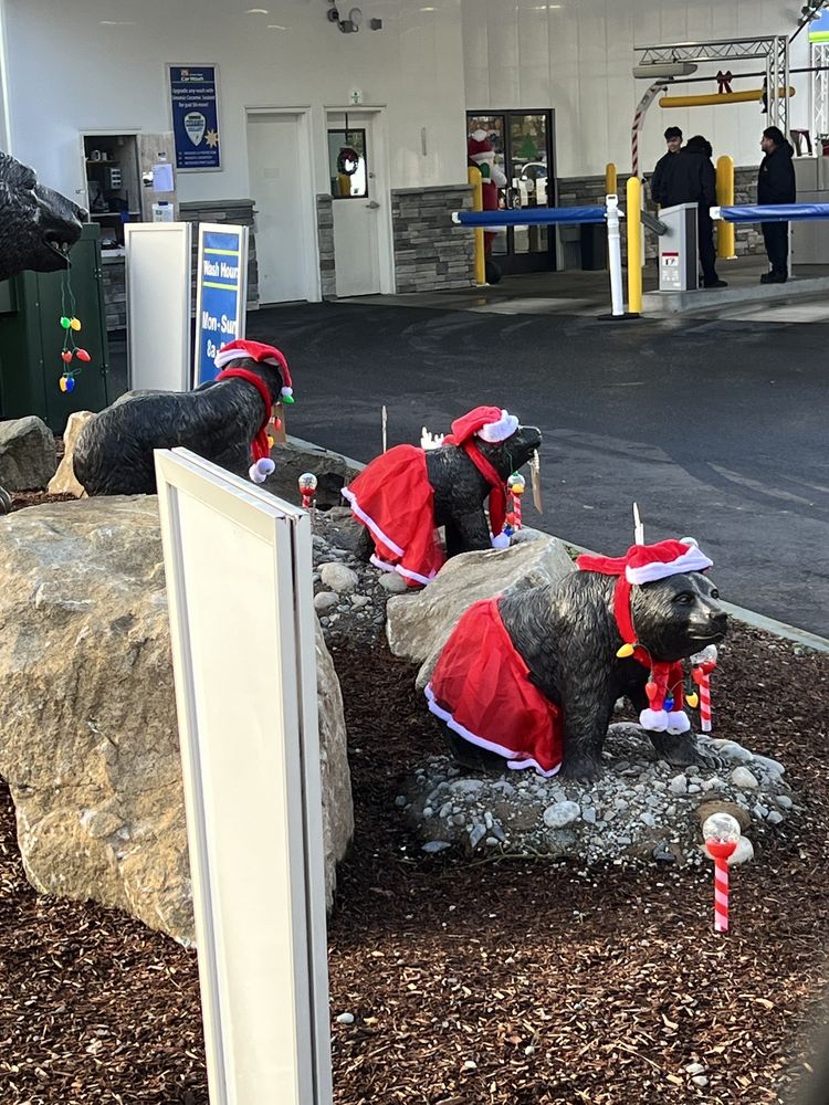 Brown Bear Car Wash