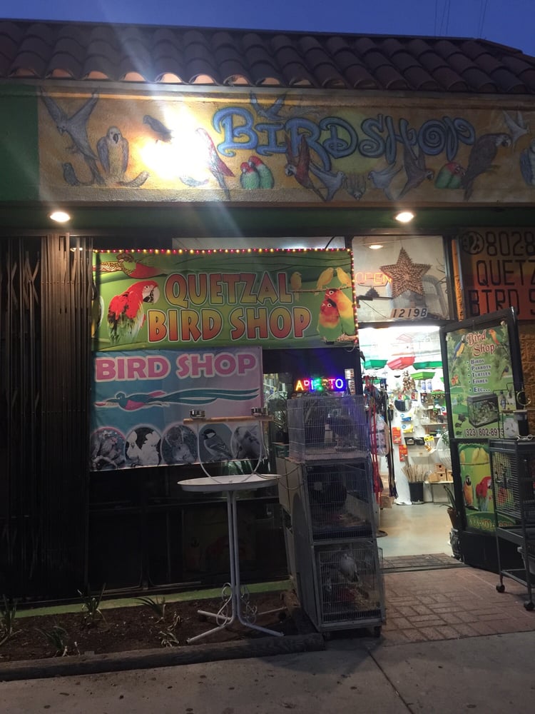 El Quetzal Bird Shop Bird Shops 1219 Cypress Ave, Cypress Park, Los