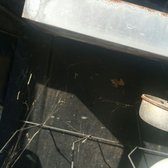 Green Mango Pest Control 15 Photos 232 Reviews Photo Of Green Mango Pest Control Chandler Az United States Again Calls