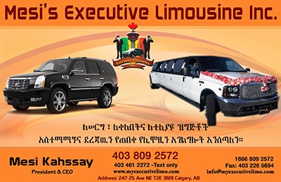 Executive Limousine