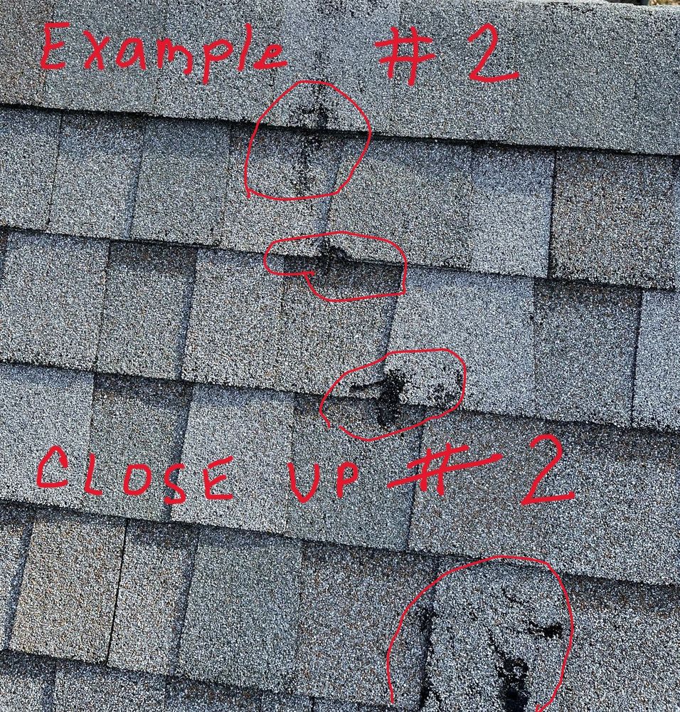 image of business Jersey Shore Roofing And Home Improvement