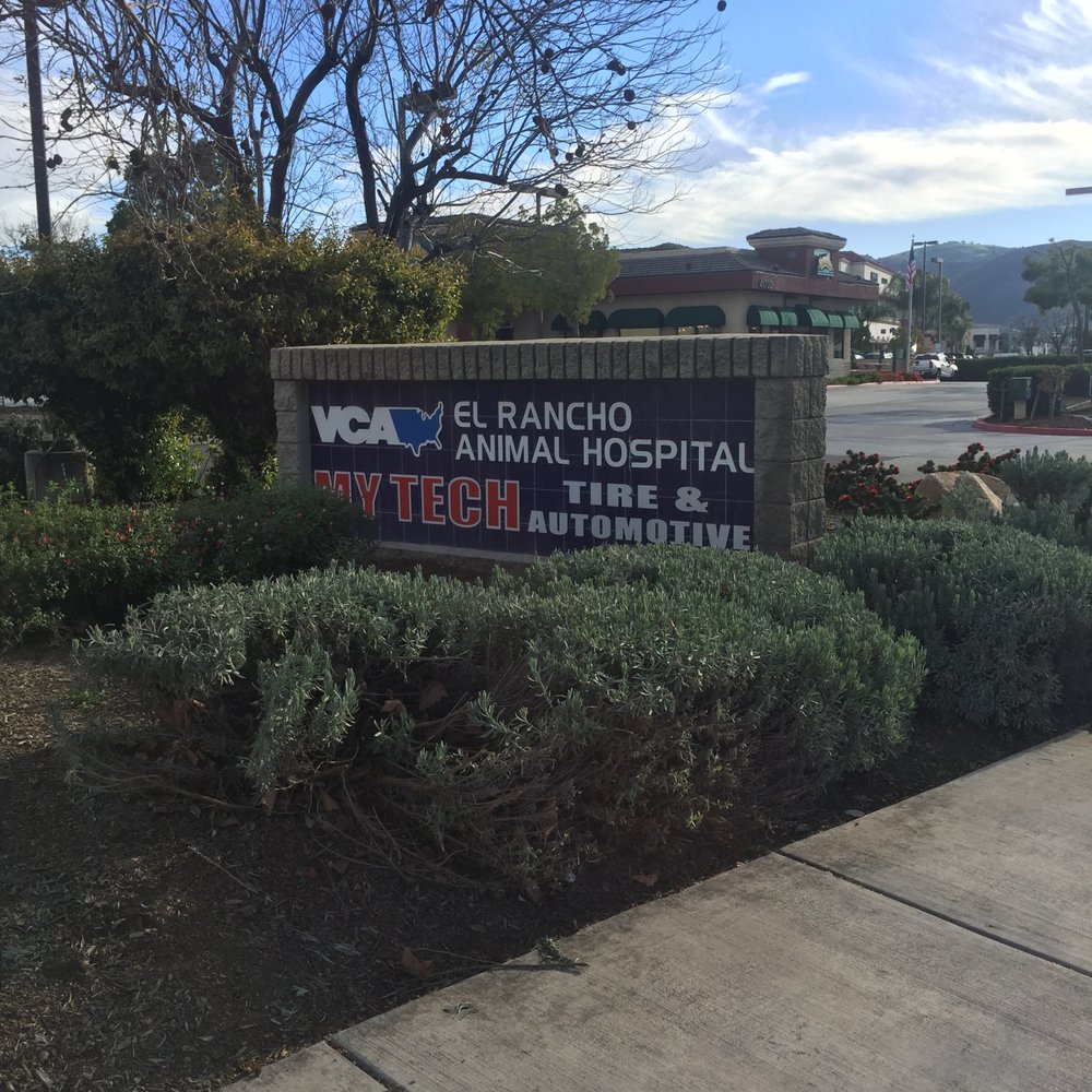 VCA El Rancho Animal Hospital (New) 19 Photos & 52 Reviews