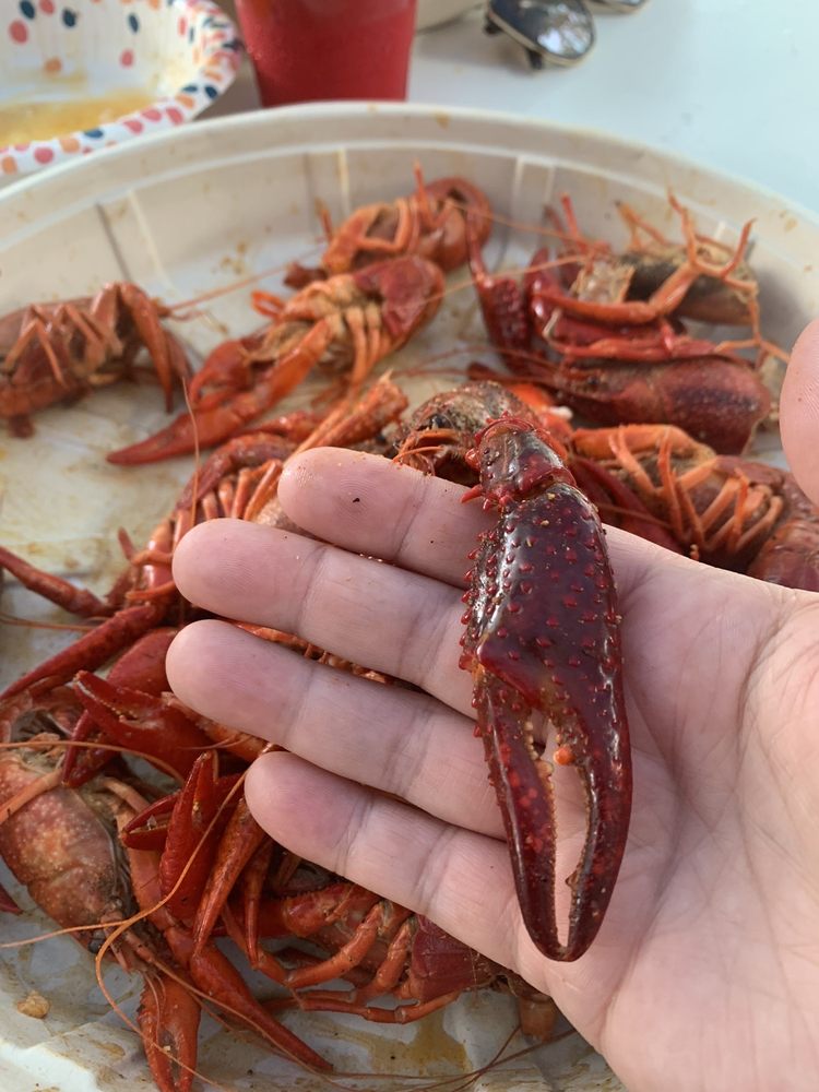 Cajun Gourmet Crawfish Wholesaler