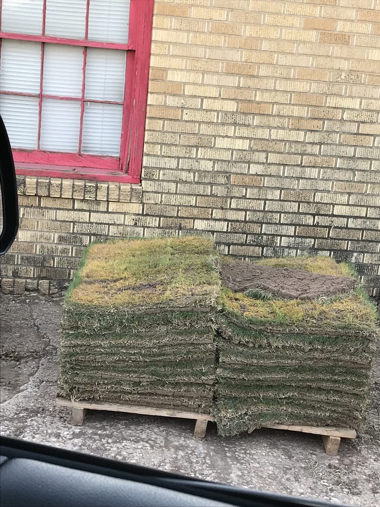 Arlington Grass